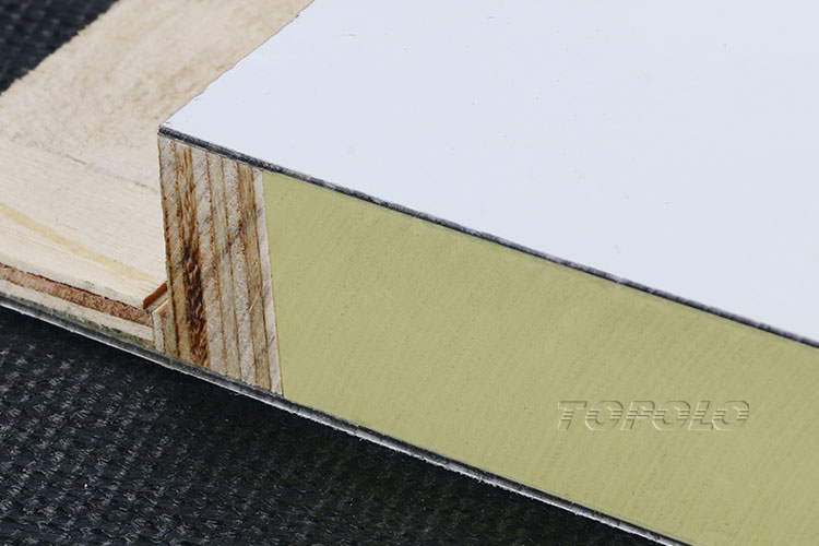 CFRT Skin XPS Foam Sandwich Panels
