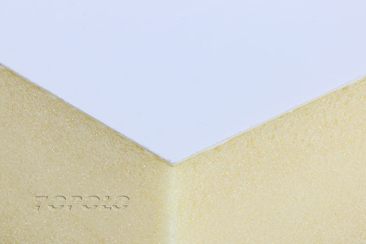 CFRT Skin PU Foam Sandwich Panels